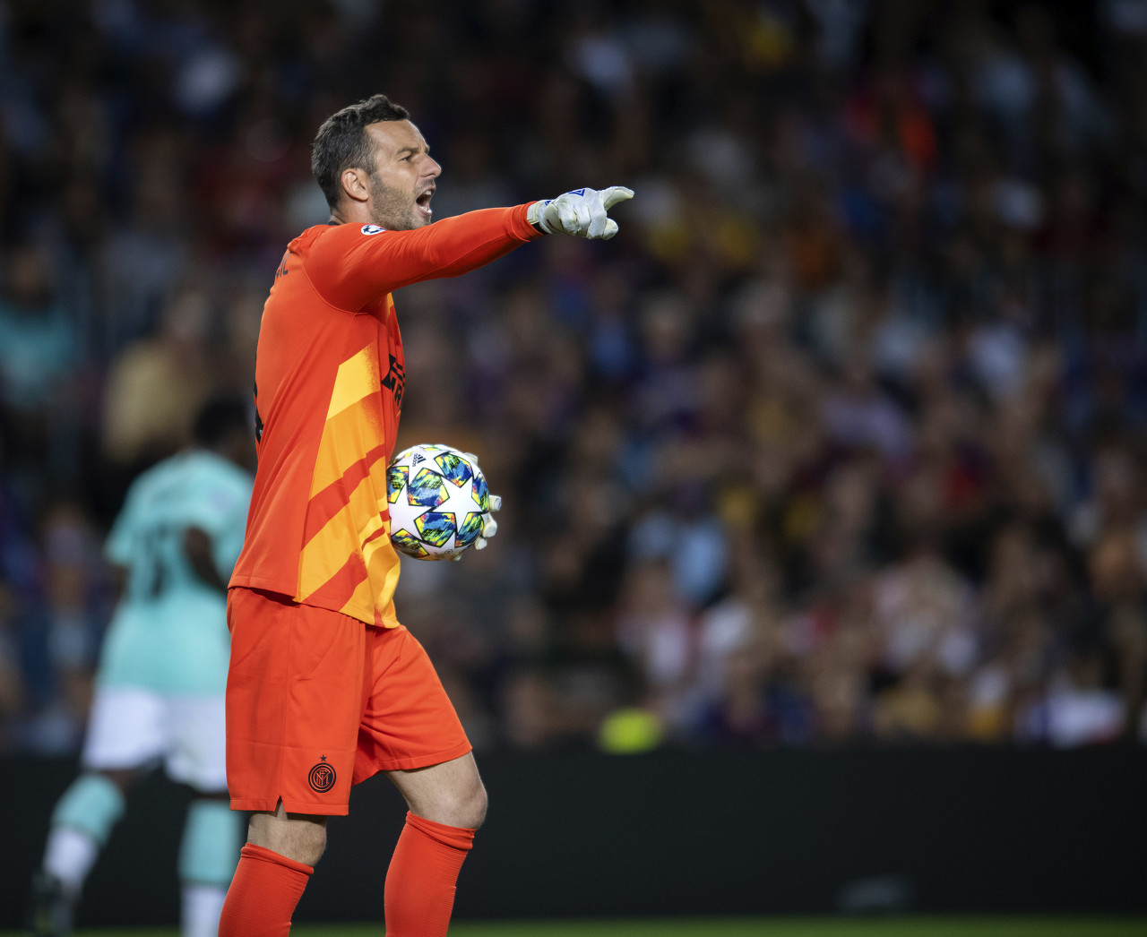 长远的未来 长远的未来